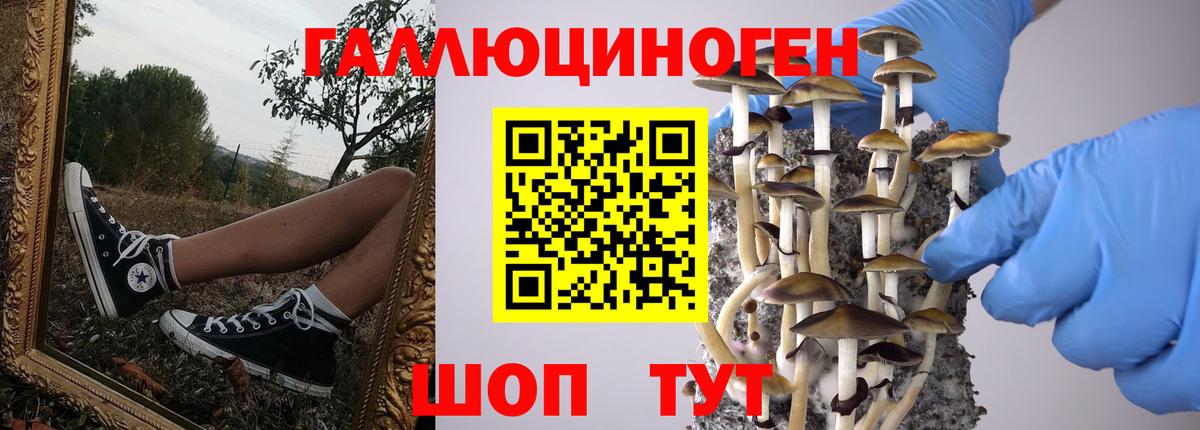 Псилоцибиновые грибы мицелий Аргун